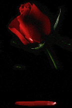 d3a6a6d245e4f27b66c9aeeb5fb7dc939232446.gif